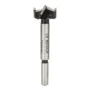 Broca para Madeira 25mm com Ponta de Metal Duro 2608597607 BOSCH